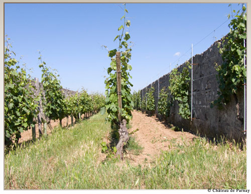 Journée nationale du livre et du vin du 1er mai 2011