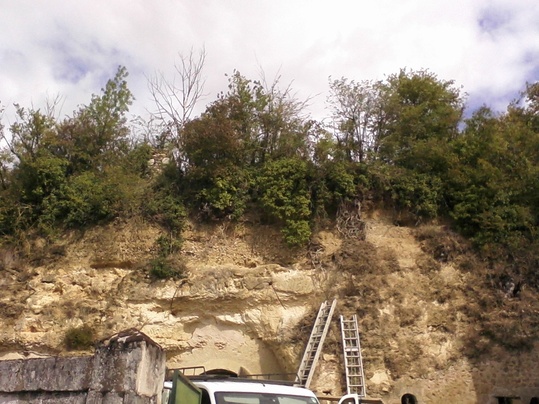 Bilan de Santé Troglodytique ® Bilan de Santé Troglodytique ®