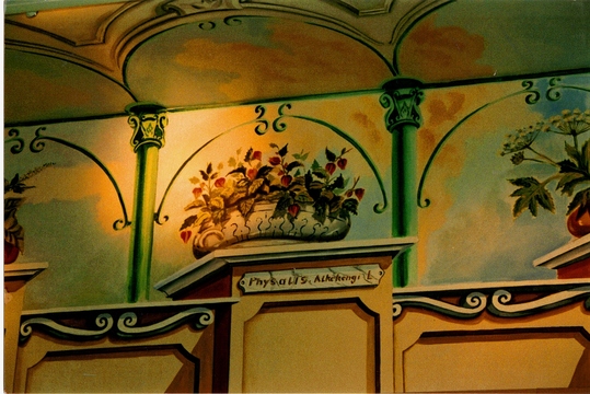 TROMPE L'OEIL dans une pharmacie LYONNAISE