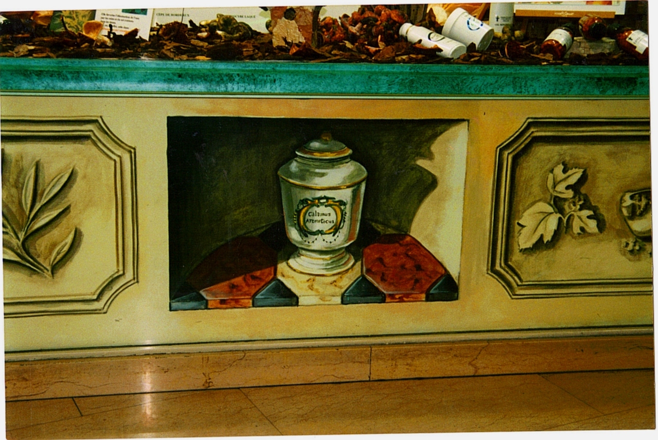 PHARMACIE FLORIT A LYON 38