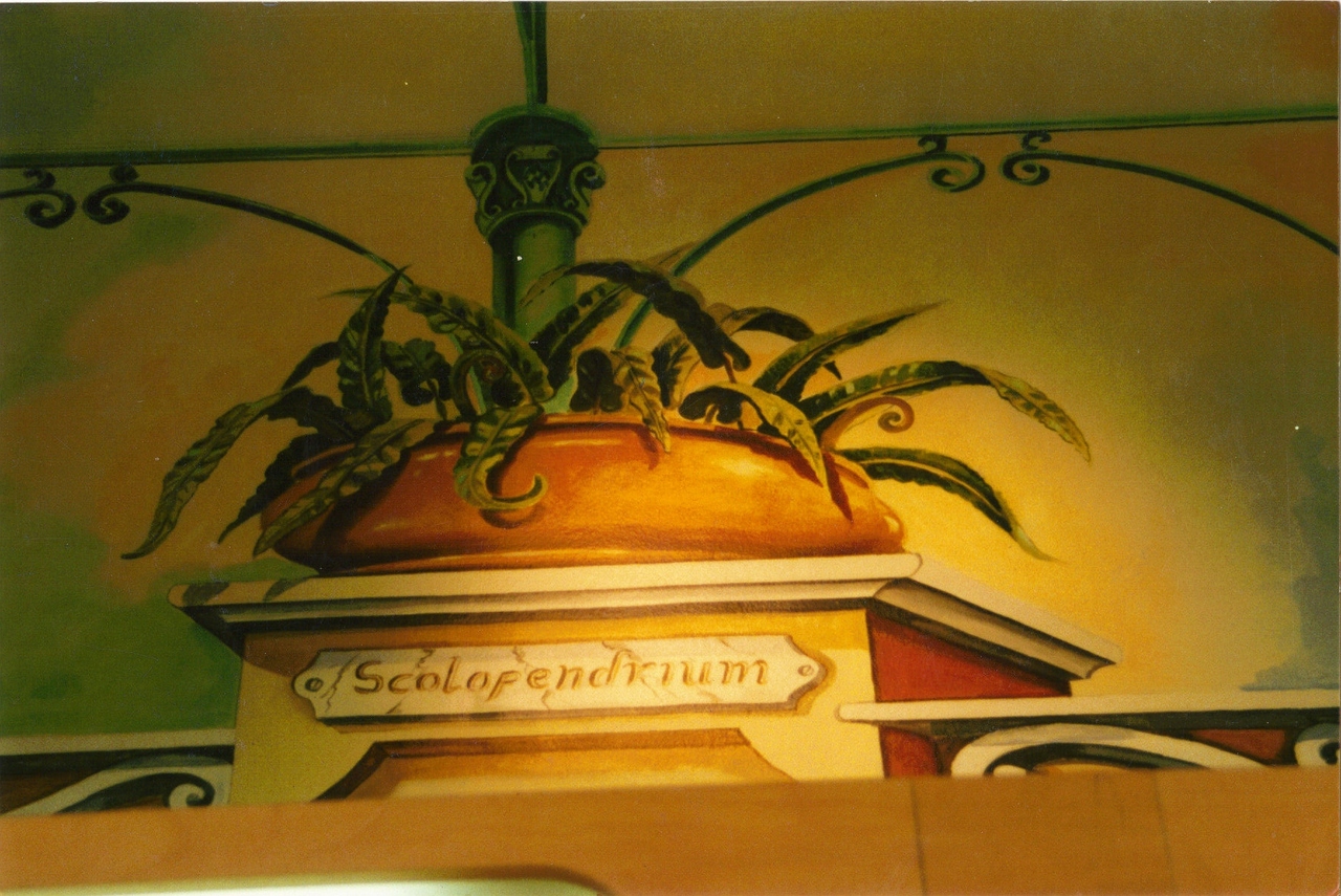 PHARMACIE FLORIT A LYON 22