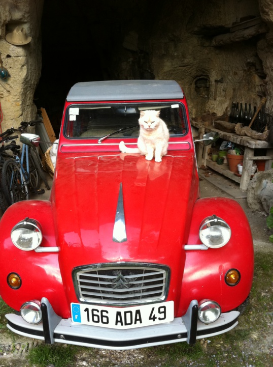 Contrat de location 2017-2018 Contrat de location 2017-2018