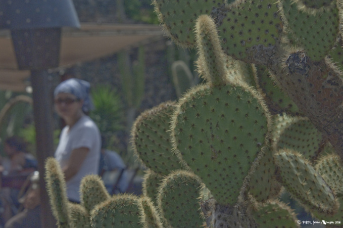 Lanzarote dans la littérature (2) Lanzarote dans la littérature (2)