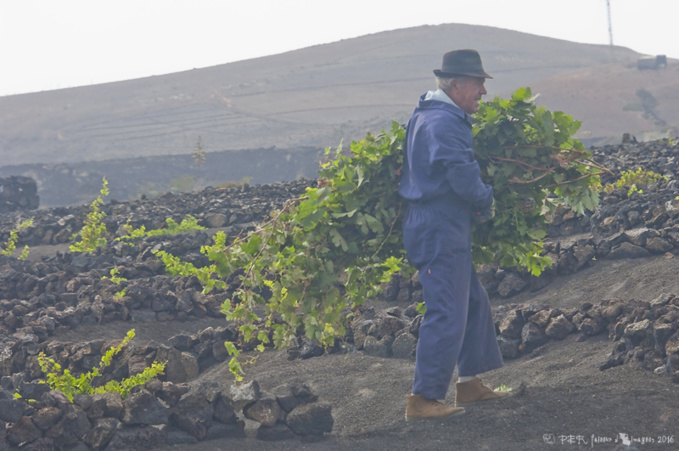 Les forges de Vulcain (3) Les forges de Vulcain (3)
