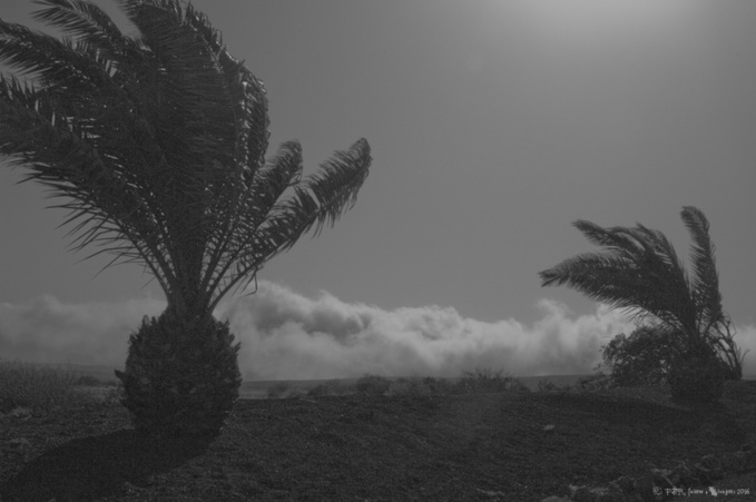 Il était une fois, Lanzarote et César Il était une fois, Lanzarote et César