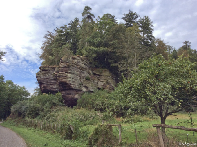 Du côté de Saverne : les Vosges gréseuses Du côté de Saverne : les Vosges gréseuses