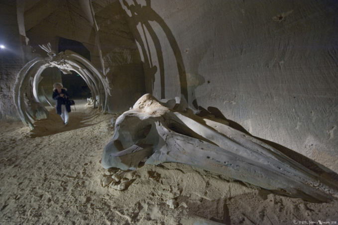 Les Mystères du falun Les Mystères du falun