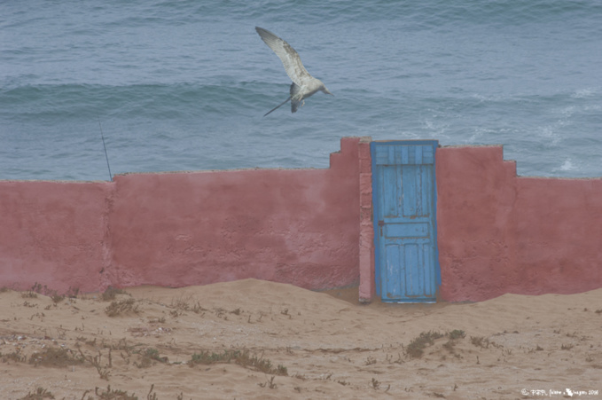 Voir Essaouira et renaître… Voir Essaouira et renaître…