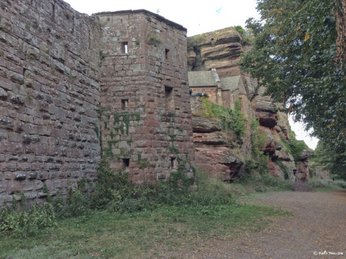 Un château-roche en Alsace Un château-roche en Alsace
