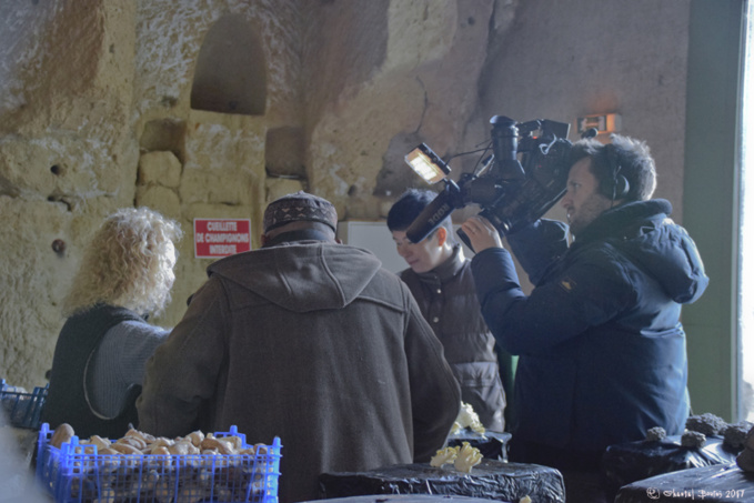 Troglos TV Troglos TV