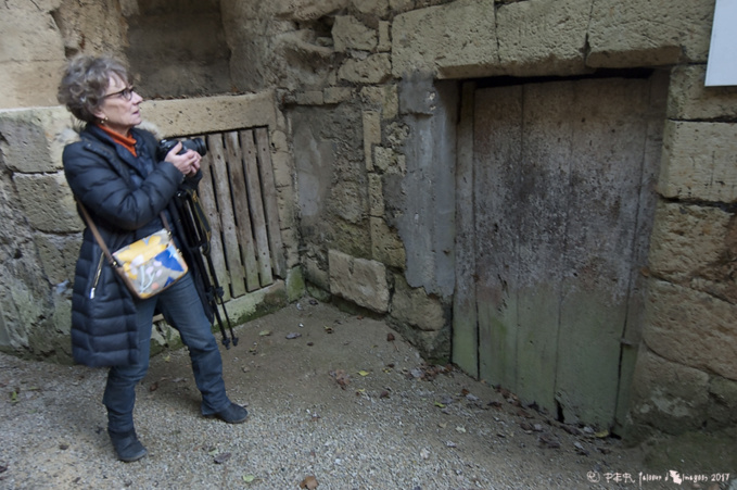 Troglos TV Troglos TV