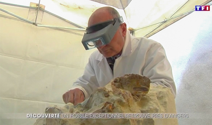 Confortement et paléontologie Confortement et paléontologie