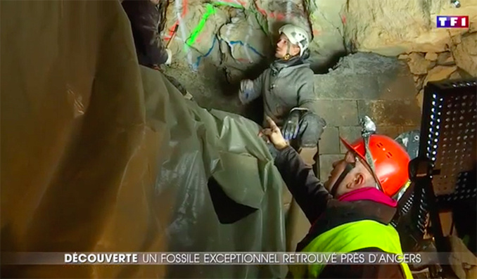 Confortement et paléontologie Confortement et paléontologie