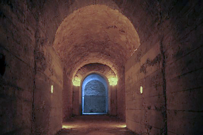 Poisson à la « Lyonnaise » en sous-sol Poisson à la « Lyonnaise » en sous-sol