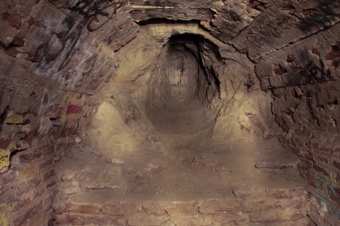 Poisson à la « Lyonnaise » en sous-sol Poisson à la « Lyonnaise » en sous-sol