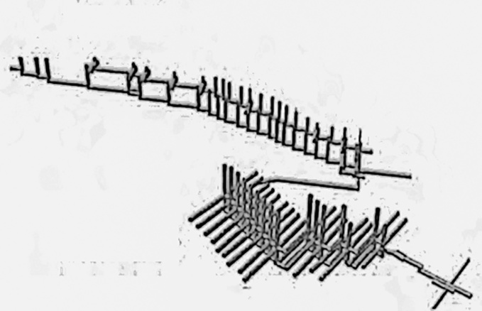 Poisson à la « Lyonnaise » en sous-sol Poisson à la « Lyonnaise » en sous-sol