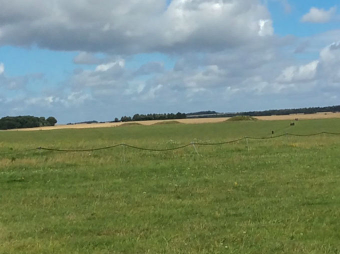 tumuli autour du cercle de pierre tumuli autour du cercle de pierre