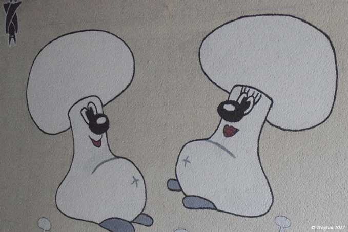 Roulleau sans compresseur Roulleau sans compresseur