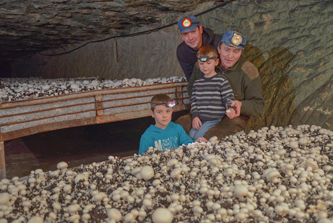 Roulleau sans compresseur Roulleau sans compresseur