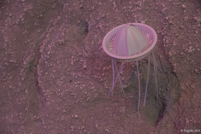 L’été en caves dans le Saumurois (2) L’été en caves dans le Saumurois (2)