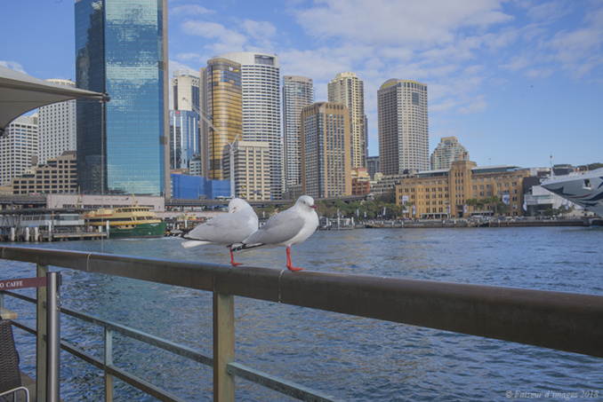 Sydney, métropole moderne Sydney, métropole moderne