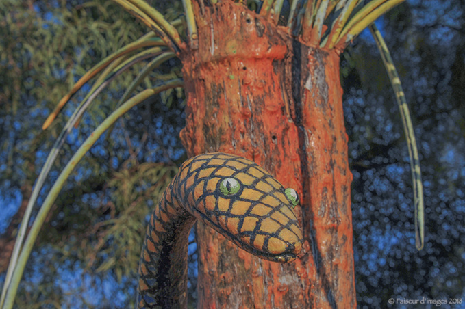 Troglodyte Dundee, les Aborigènes et le Sacré Troglodyte Dundee, les Aborigènes et le Sacré