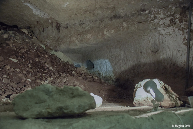 Le Patrimoine en marche (1) Le Patrimoine en marche (1)