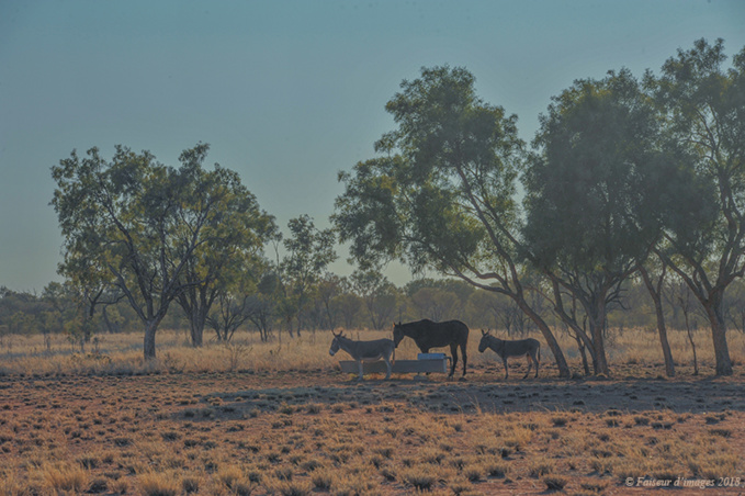 Troglodyte Dundee, le Parc de Kakadu Troglodyte Dundee, le Parc de Kakadu