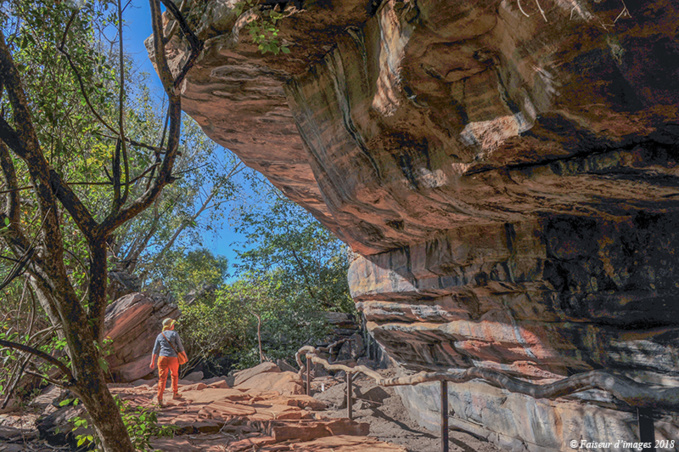 Troglodyte Dundee, les Tags de Kakadu Troglodyte Dundee, les Tags de Kakadu