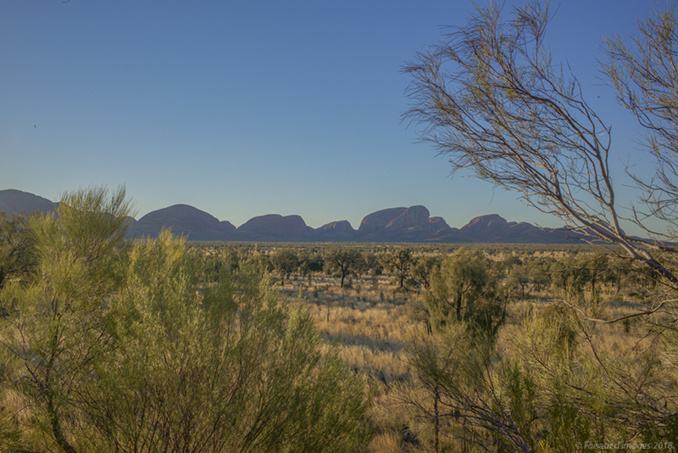 Troglodyte Dundee, le Sacré foulé aux pieds (1) Troglodyte Dundee, le Sacré foulé aux pieds (1)