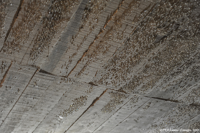 Humidité, taux environ 90 % Humidité, taux environ 90 %