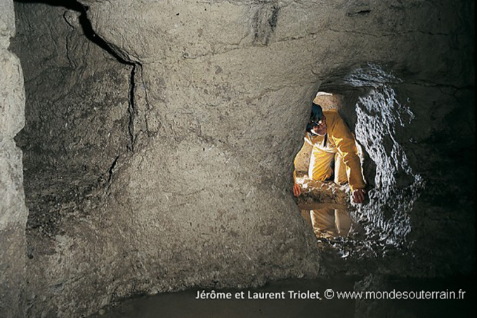 Le Congrès 2019 de la SFES Le Congrès 2019 de la SFES