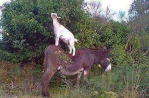 Voyages aux pays des troglos Voyages aux pays des troglos