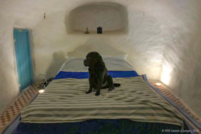 Voyages aux pays des troglos Voyages aux pays des troglos