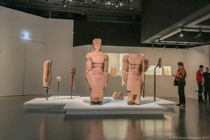 Alula à L’IMA Alula à L’IMA