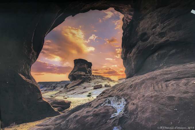 Alula à L’IMA Alula à L’IMA