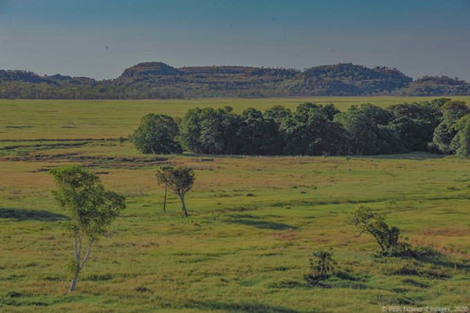 L’Art pariétal en question (2) L’Art pariétal en question (2)