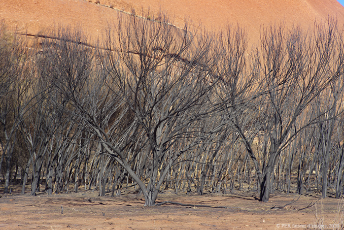 Pleins feux sur l’Australie (2) Pleins feux sur l’Australie (2)