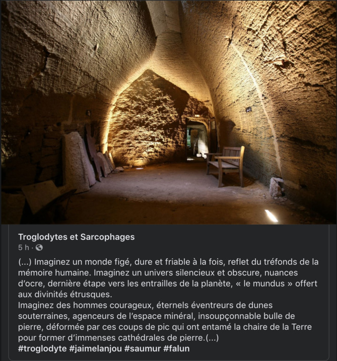 Troglo-virus Troglo-virus