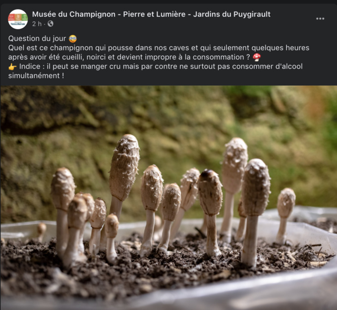 Troglo-virus Troglo-virus