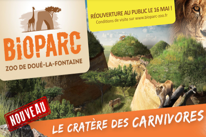 Allo, Hello troglos : le Bioparc Allo, Hello troglos : le Bioparc