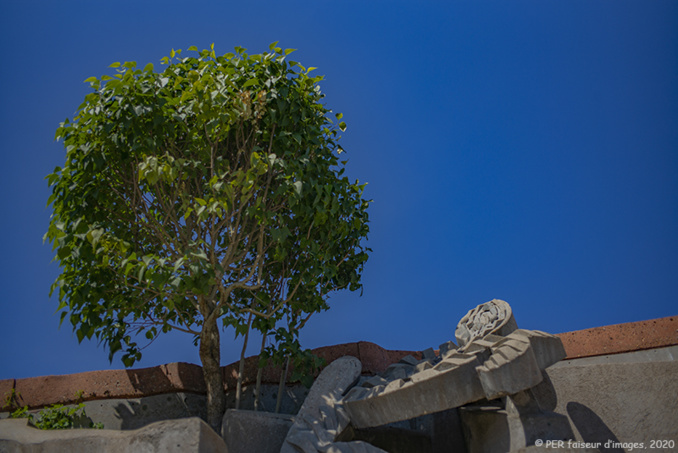 L’ Hélice terrestre tourne à l’Orbière L’ Hélice terrestre tourne à l’Orbière