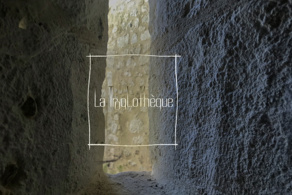 °Troglos vivants °Troglos vivants