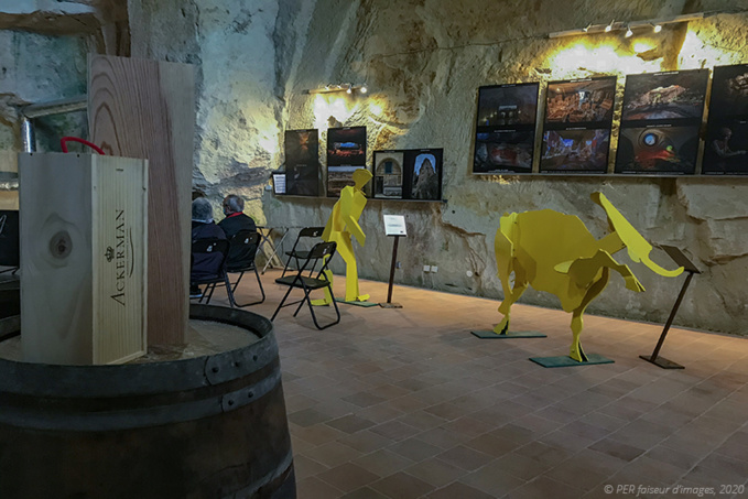 Manteau d'hiver pour la Troglothèque Manteau d'hiver pour la Troglothèque