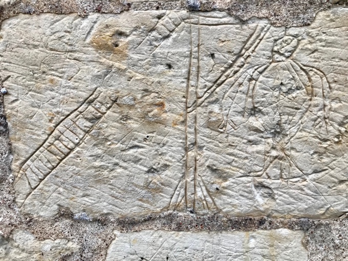 l'oiseau pendu l'oiseau pendu