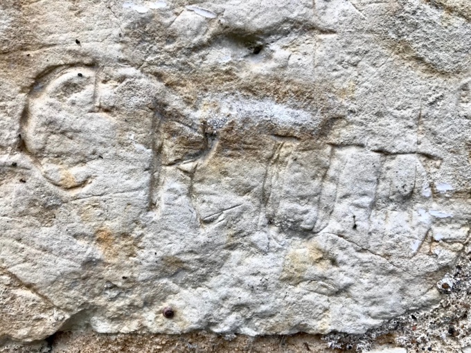 Graffitis et tuffeau : le mur de ma voisine Graffitis et tuffeau : le mur de ma voisine