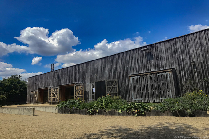 Troglos et chauves-souris Troglos et chauves-souris