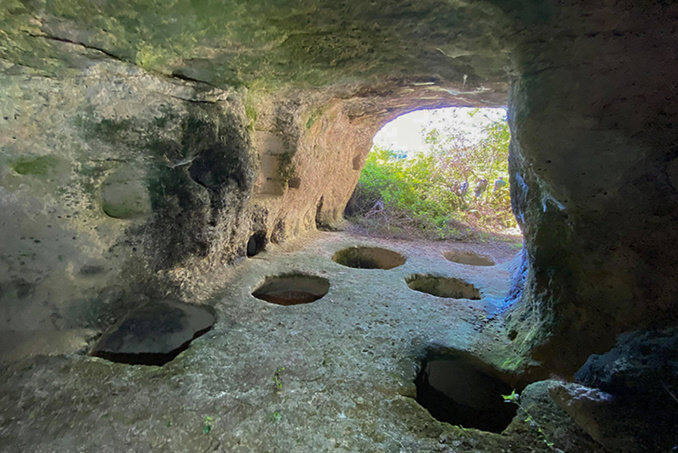 La SFES, 50 ans ! La SFES, 50 ans !