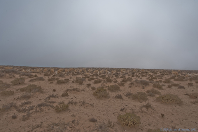 Bou Soun, le coin de Nanard Bou Soun, le coin de Nanard
