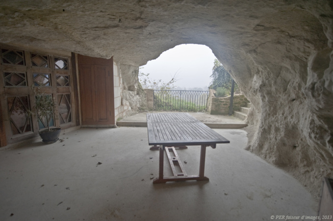 Deuxième round pour la troglo à plume! Deuxième round pour la troglo à plume!